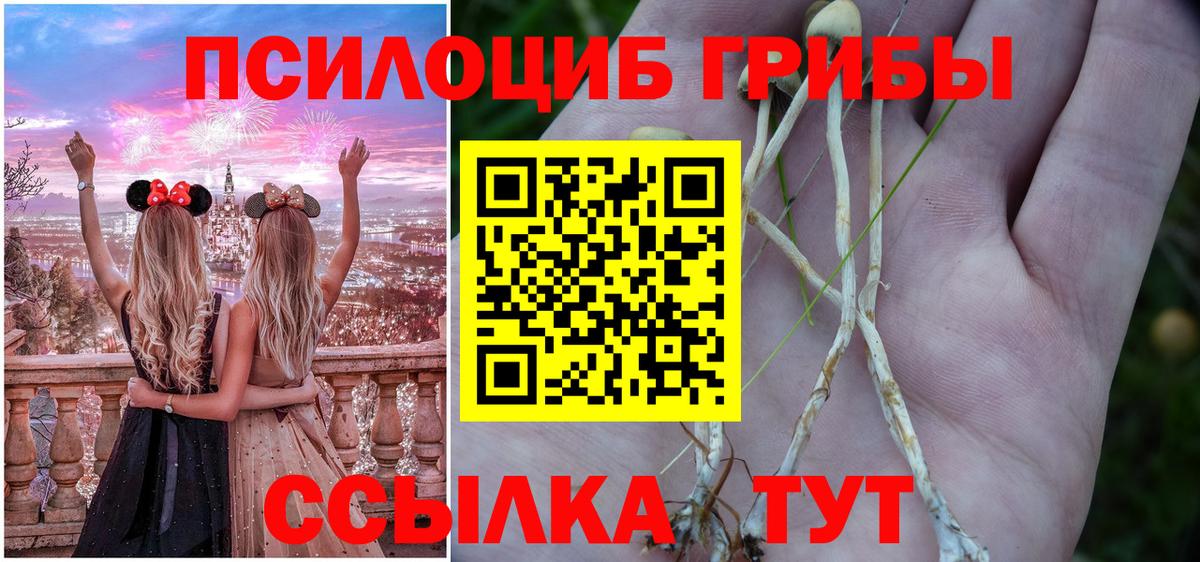 Псилоцибиновые грибы Magic Shrooms  Вход с VPN  Псилоцибиновые грибы Magic Shrooms  Евпатория 